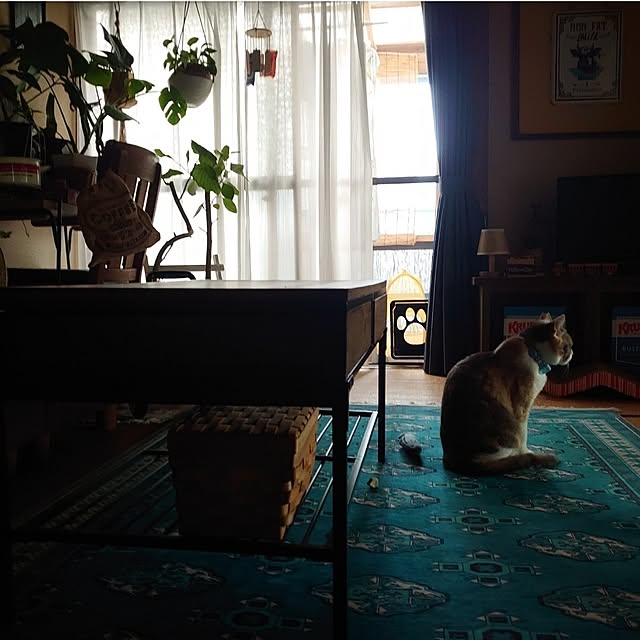 fukuさんの部屋