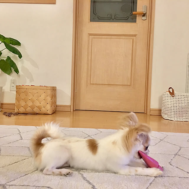 haritakaさんの実例写真