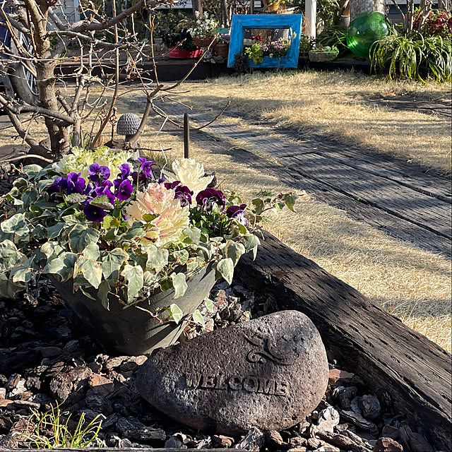 nobikoさんの部屋