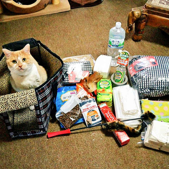 kobakissaさんの実例写真