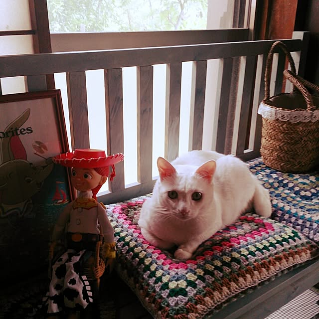 amifuuさんの実例写真