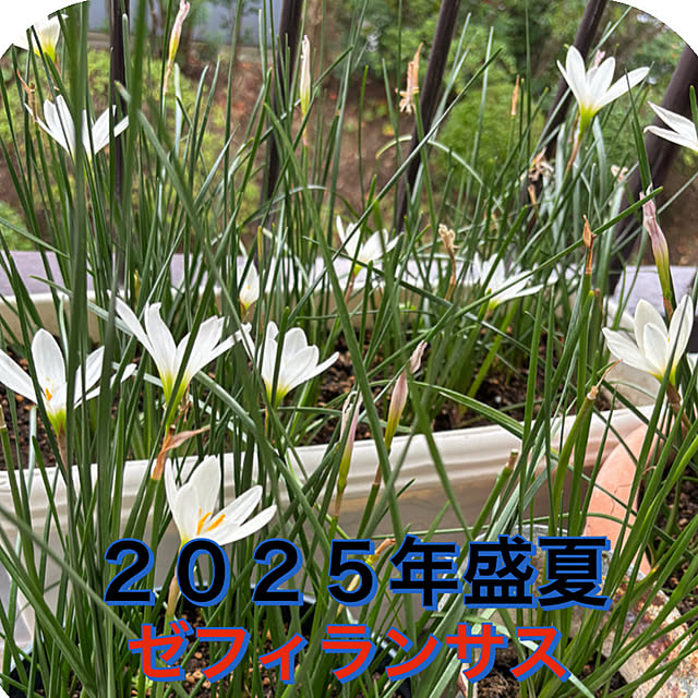 syutmmさんの部屋