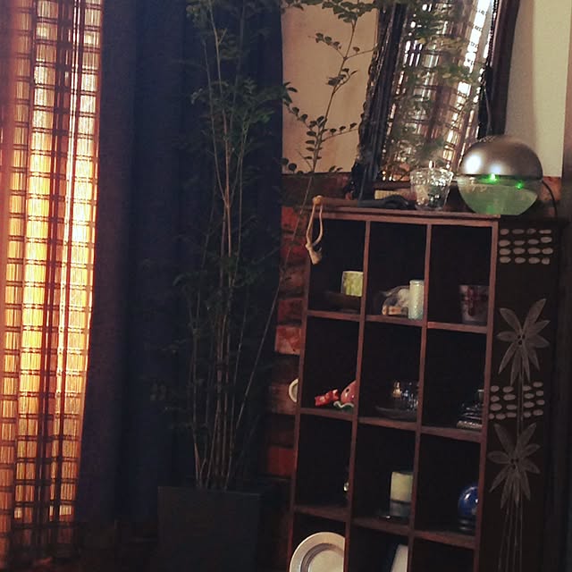 部屋全体/観葉植物のインテリア実例 - 2016-05-22 15:30:28