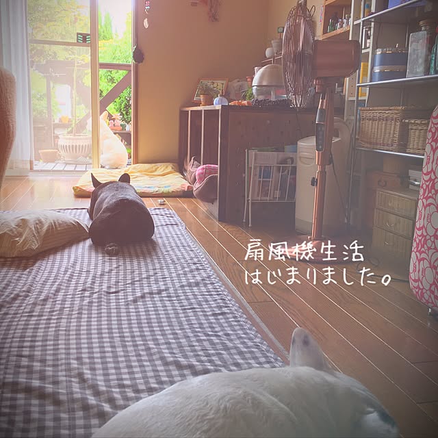 38coreさんの実例写真