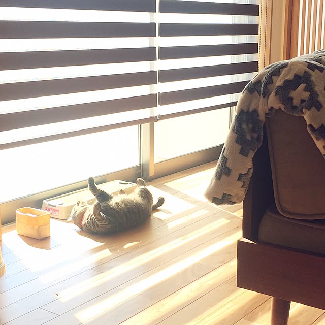 momi_momieさんの実例写真