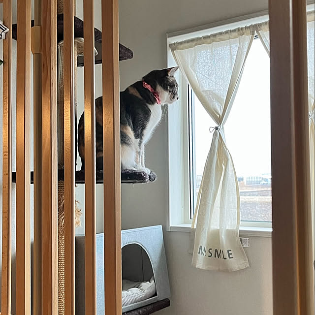 yoshibuさんの部屋