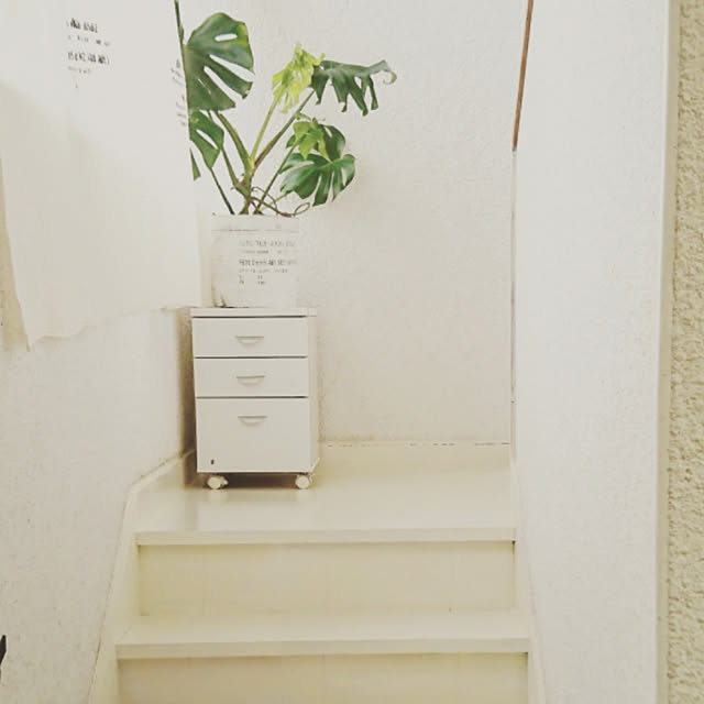 0103_eriさんの実例写真