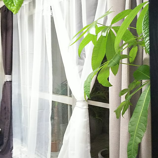 mariさんの実例写真