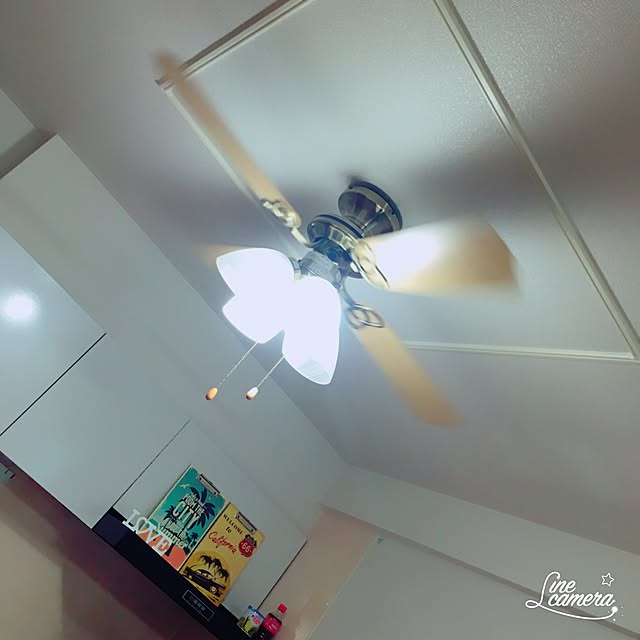 srsrさんの実例写真