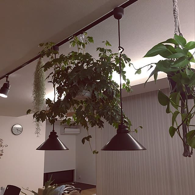 chirorin2525さんの実例写真