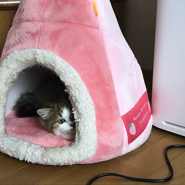sanaeさんの実例写真