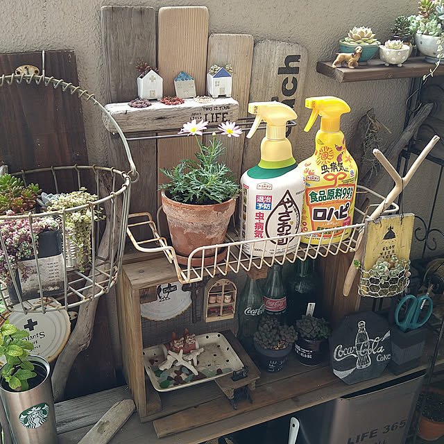 sakusakuさんの実例写真