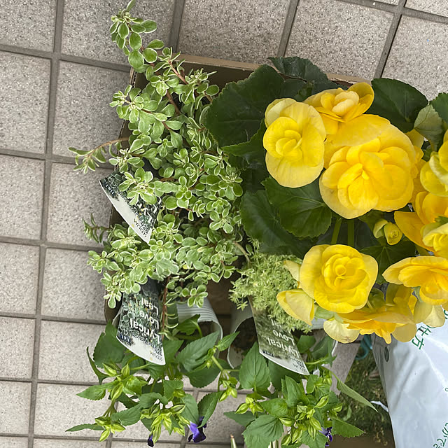YuuKoさんの実例写真