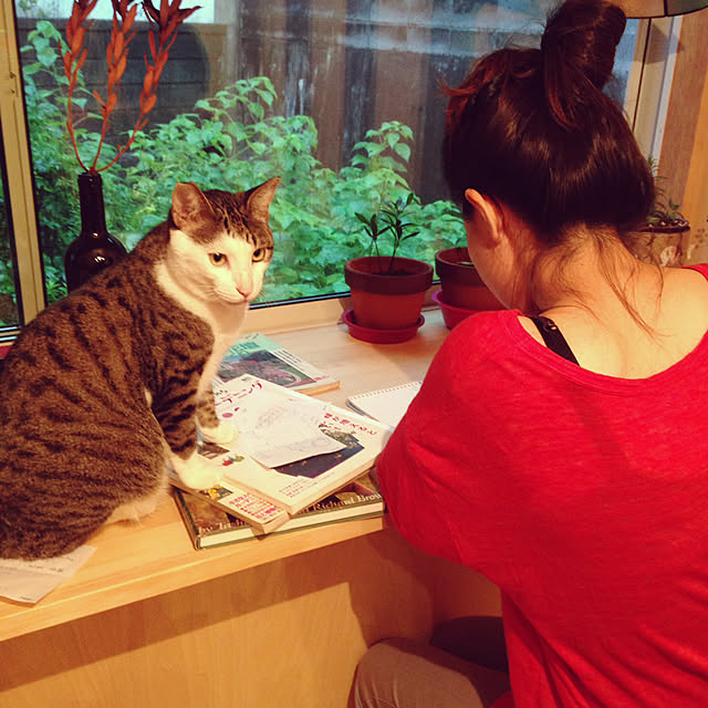 tunnelhouseさんの実例写真