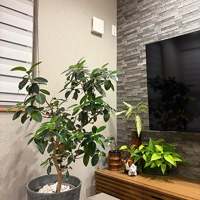 ikuzakさんの実例写真
