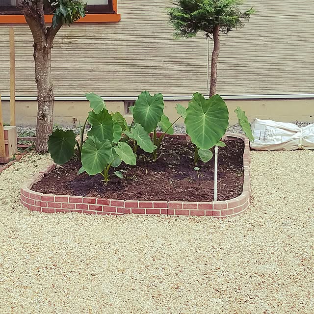 mikkoさんの実例写真