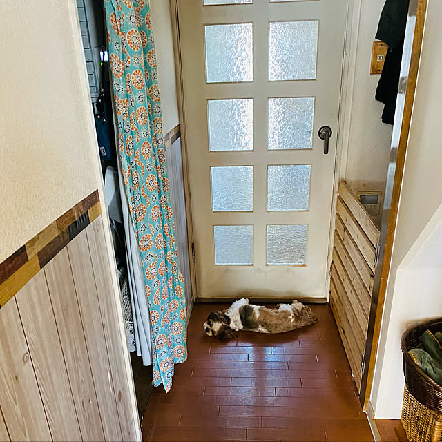 SHIHOさんの実例写真