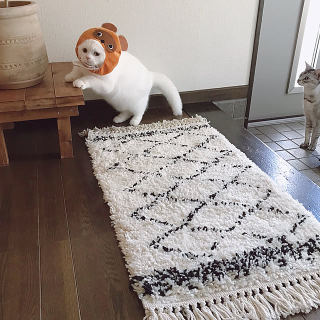 kotoriさんの実例写真