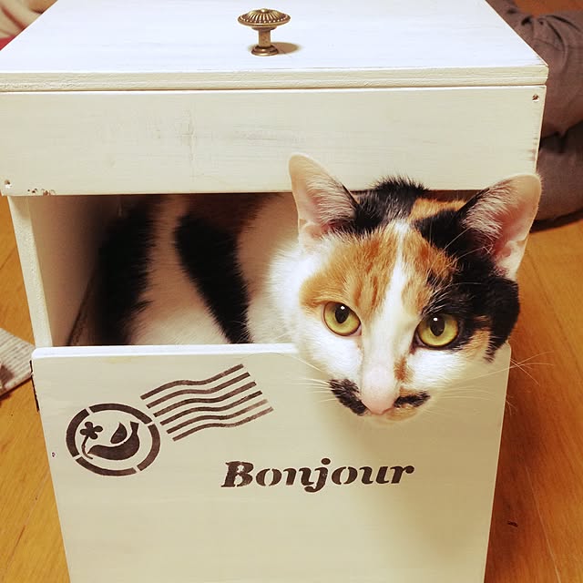 Kinanさんの実例写真