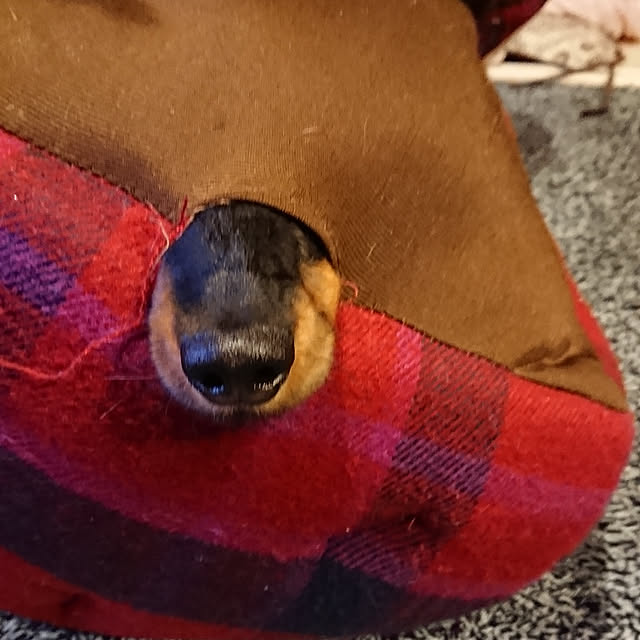 tomopiさんの実例写真