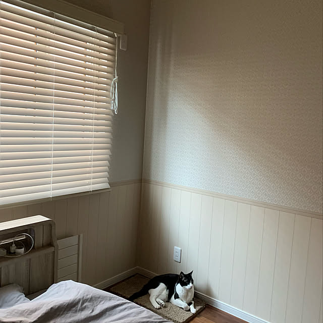 mikeume7さんの実例写真