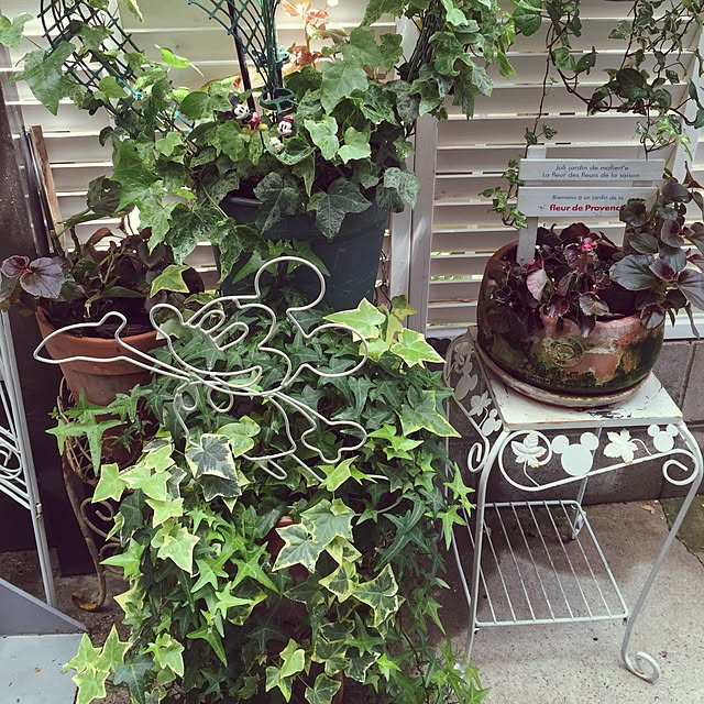 greenroseさんの実例写真
