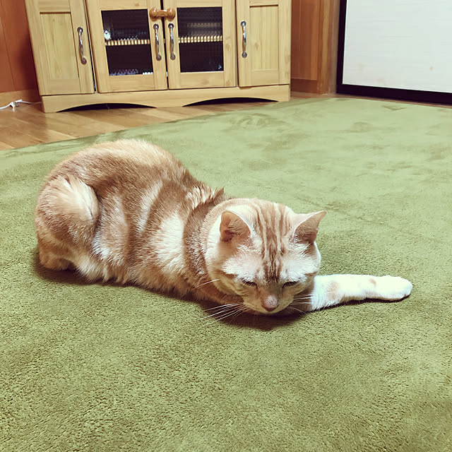 mikuwaさんの実例写真