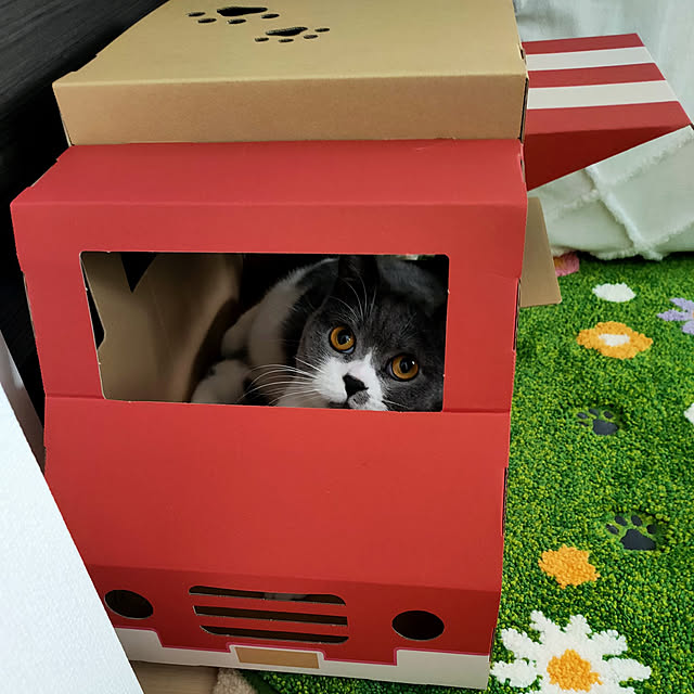 KEIKOさんの実例写真