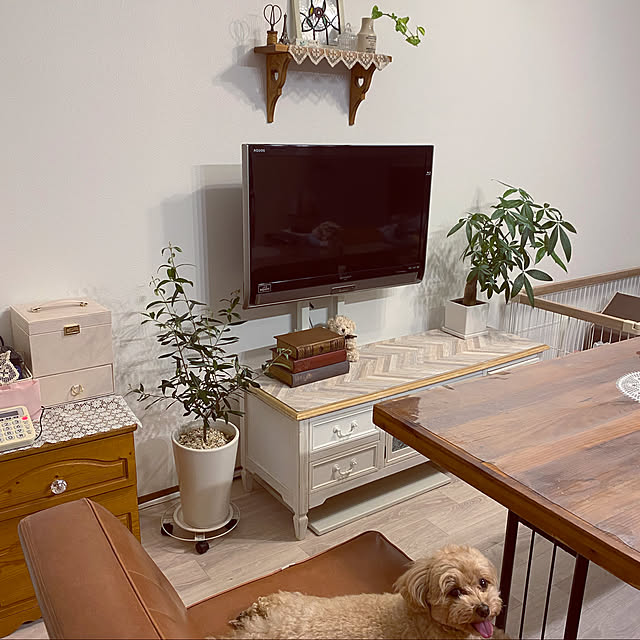 akoのINTERIOR PLANTS-INTERIOR PLANTS陶器Lシリーズ/オリーブ (株)インタープラネットの家具・インテリア写真