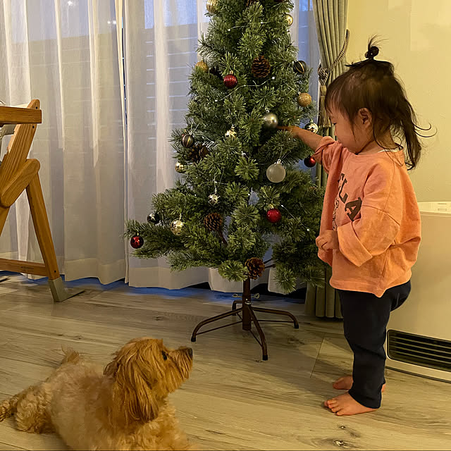 クリスマスツリー/狭小住宅/モノトーンインテリア/グレーインテリア/赤ちゃんのいる暮らし...などのインテリア実例 - 2021-11-25 12:50:20