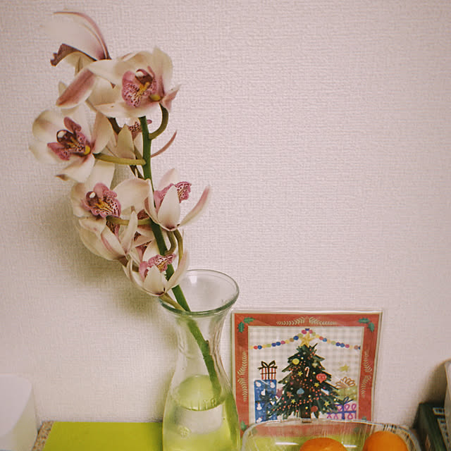 promiseさんの実例写真