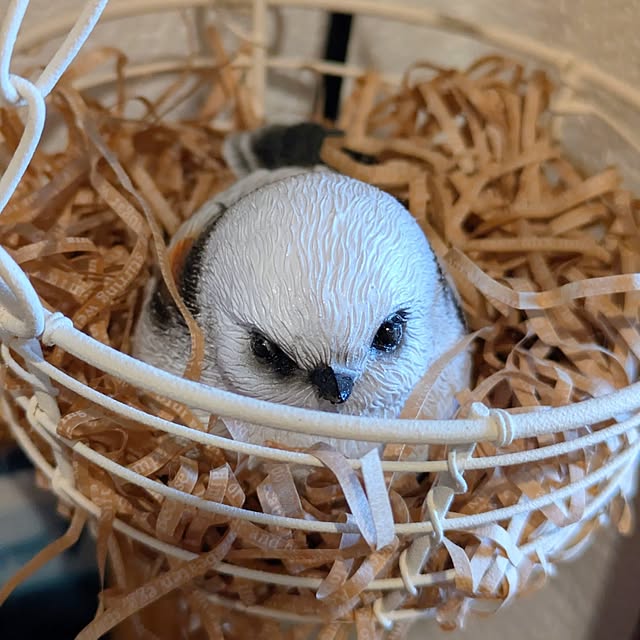 mi-saさんの部屋