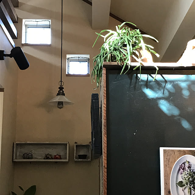 hiroさんの実例写真