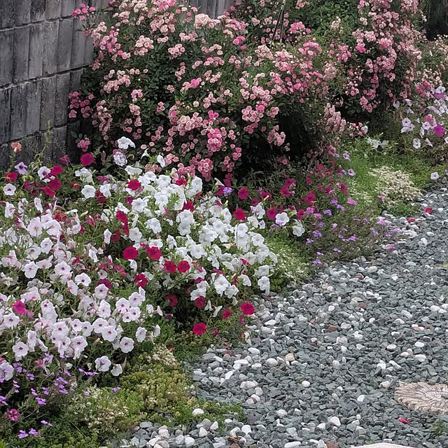 machikomamaさんの部屋