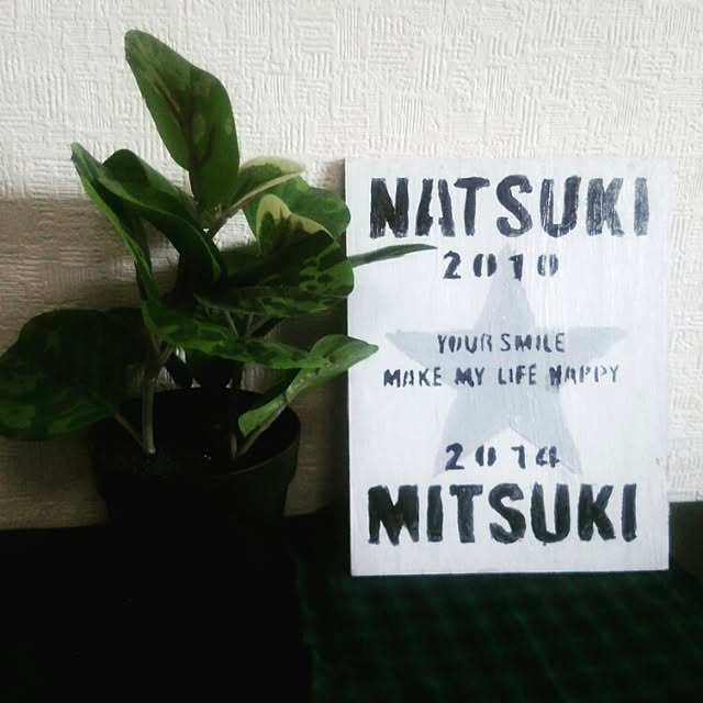 yuuさんの実例写真