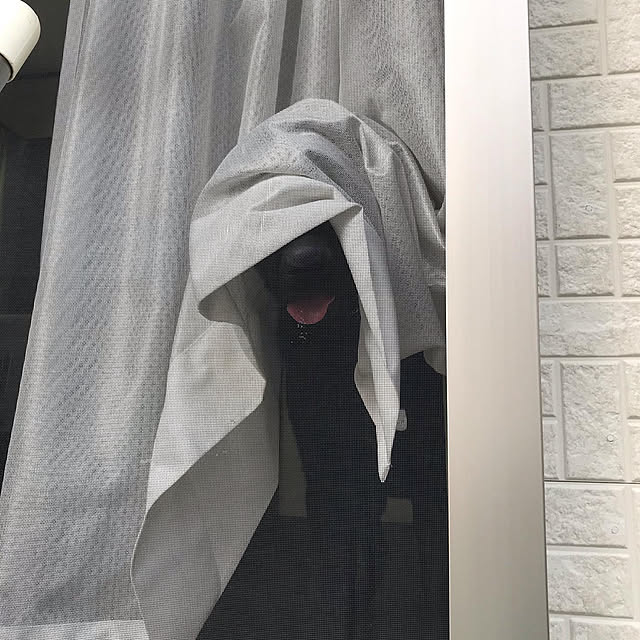 Yukaさんの実例写真