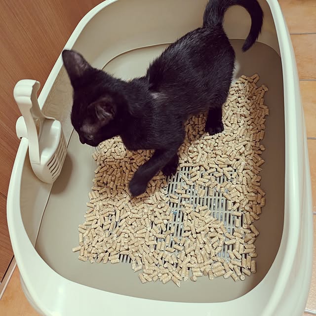 MyuRuuさんの部屋