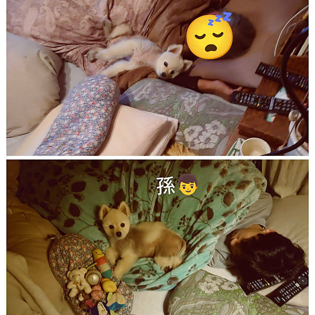 akaidarumaさんの実例写真