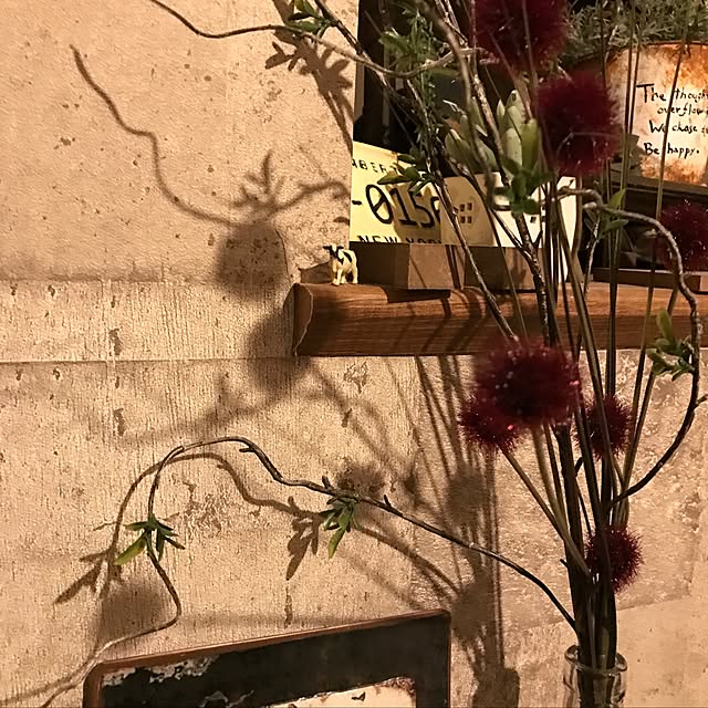 miwaさんの実例写真