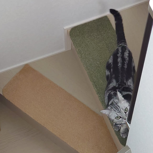 NANACOCOさんの実例写真