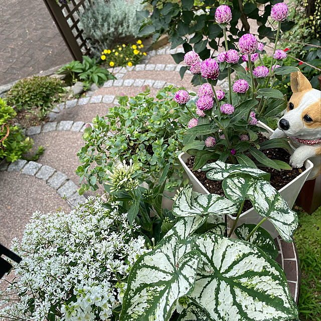 tenntennさんの実例写真