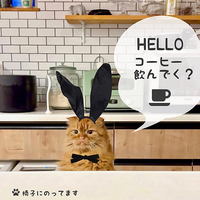 chibinoriさんの実例写真