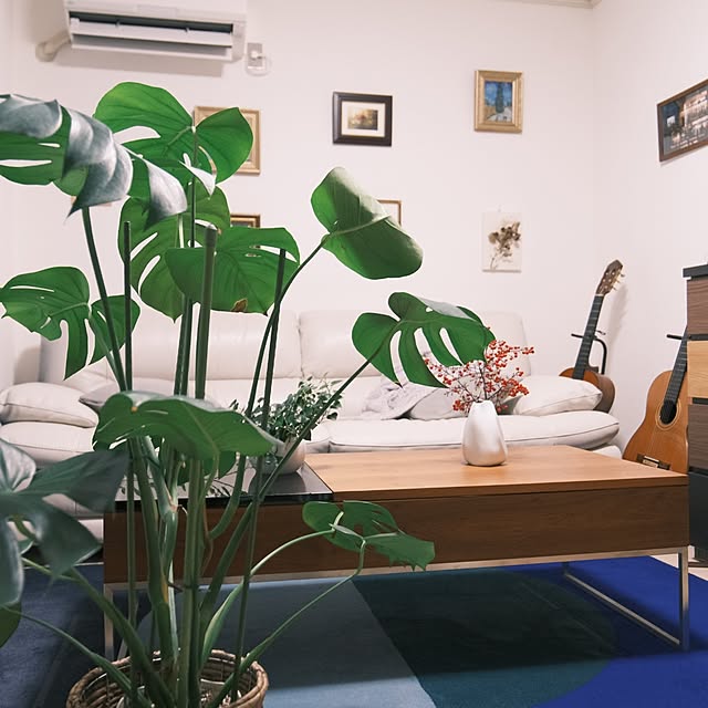 larugo0921さんの実例写真