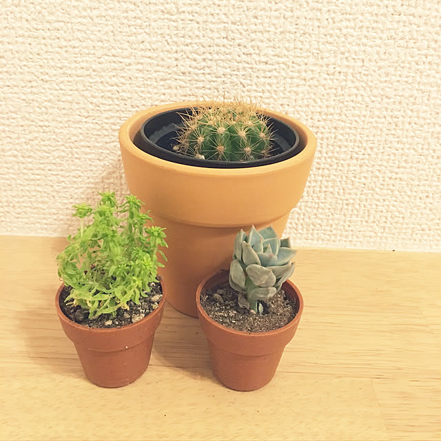 yayaさんの実例写真