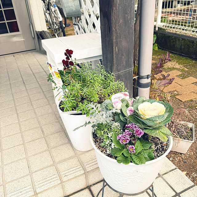 cyaroさんの部屋