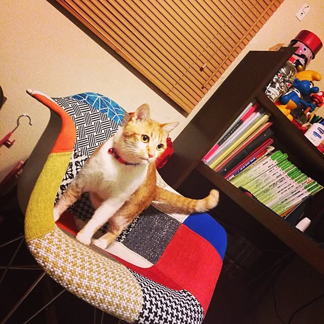 chocolinaさんの実例写真