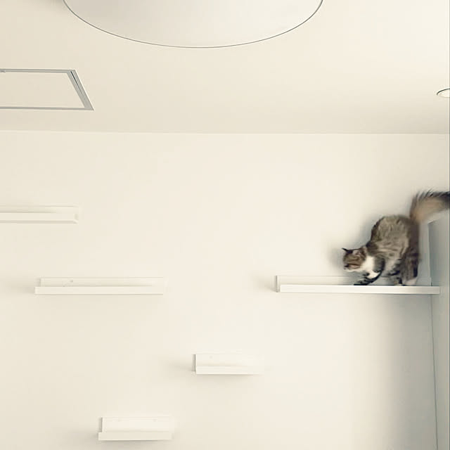 tomo1228さんの実例写真