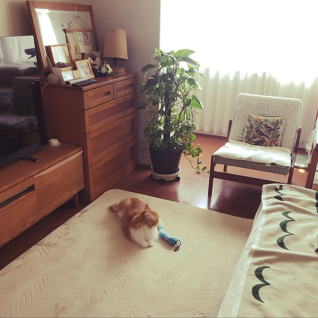 uchidaizuさんの実例写真