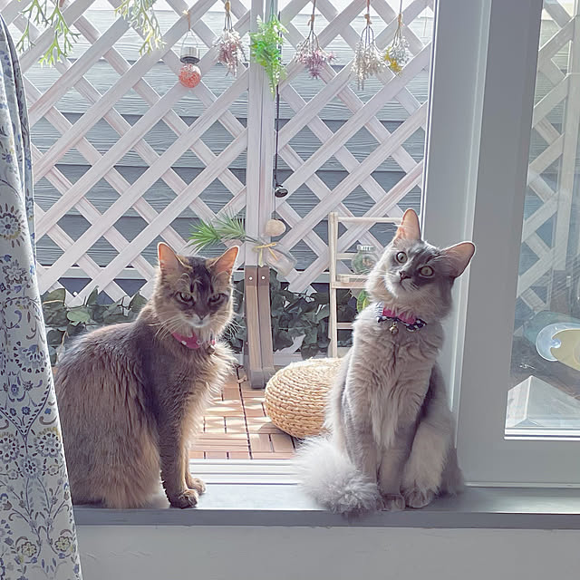 paradise_viewさんの実例写真