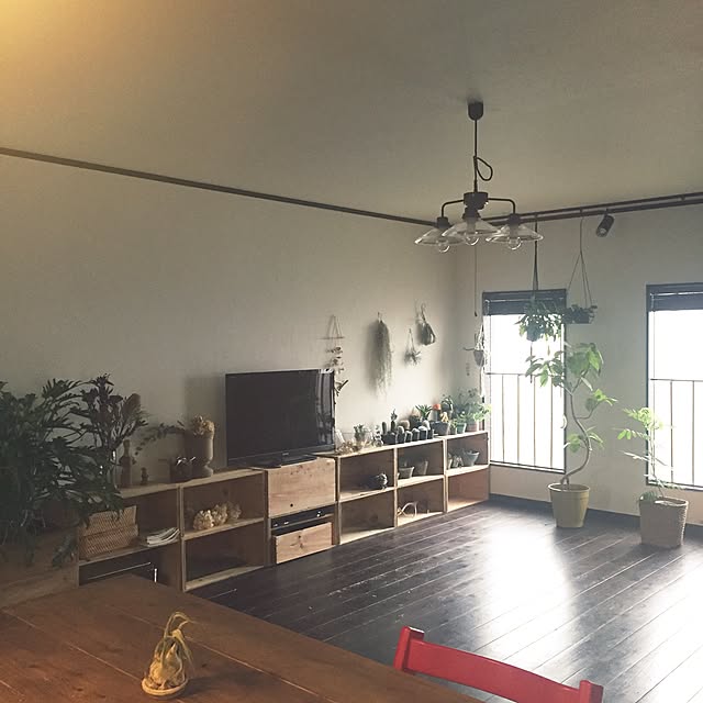 romimushiさんの実例写真